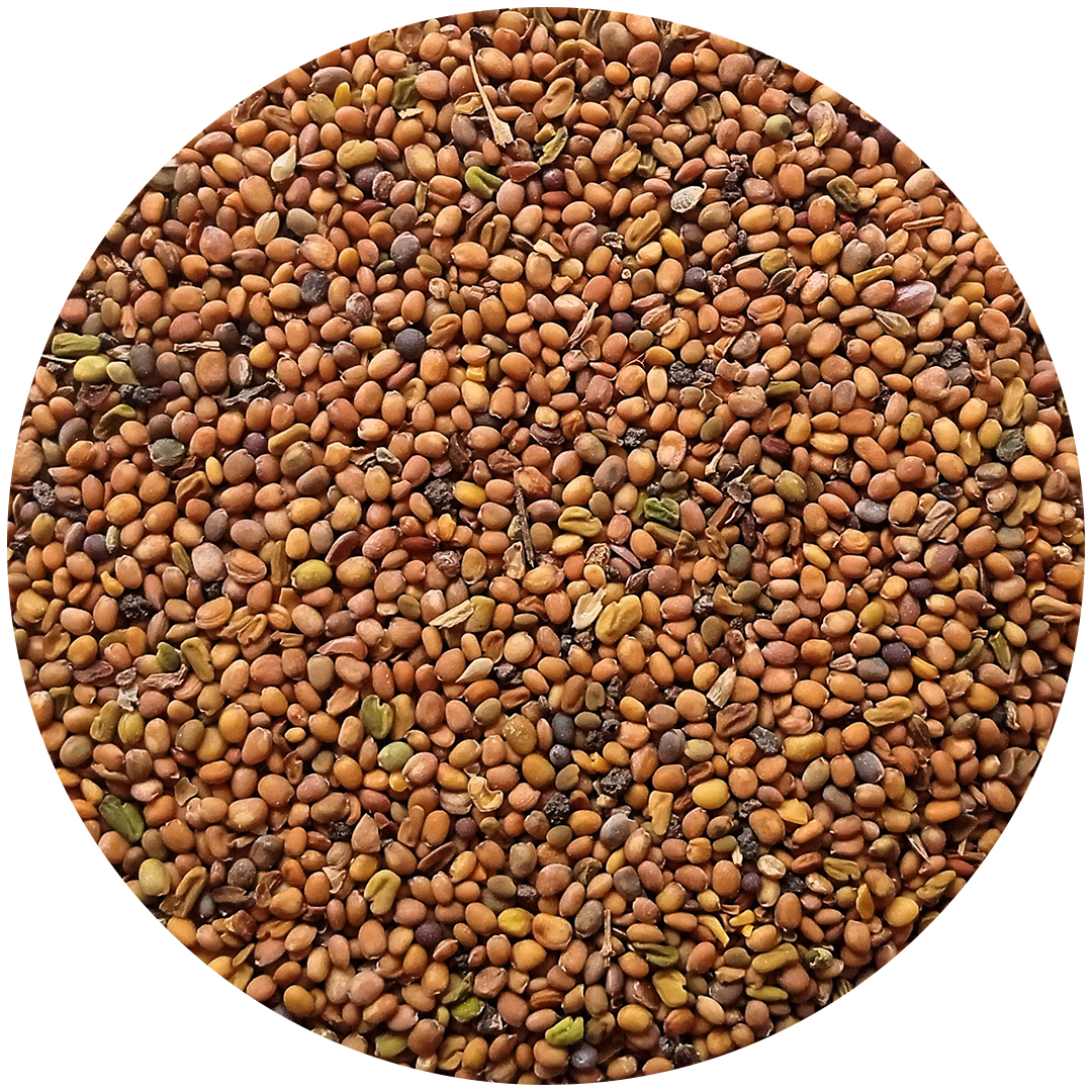 Strength On Oil (100% Genuine)💯