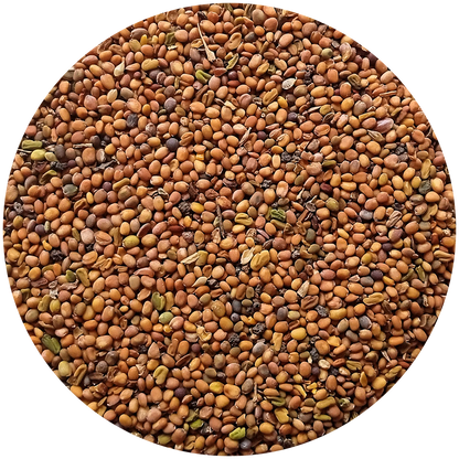 Strength On Oil (100% Genuine)💯